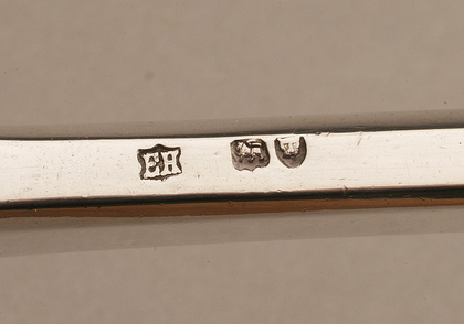 Fox and Vine Silver Grape Scissors