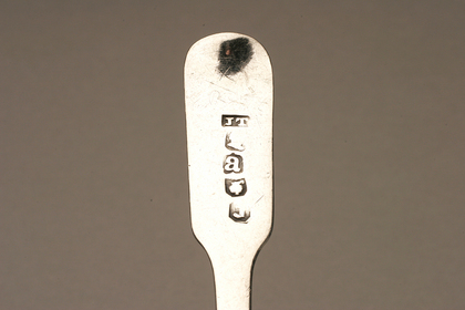 Cape Silver saltspoon - John Townsend