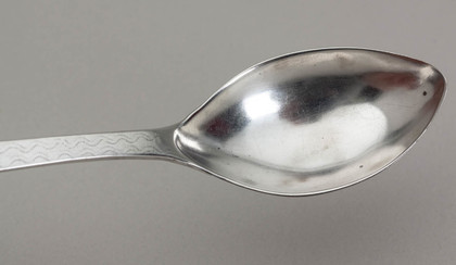 Cape Silver Lemoen Lepel - Johannes Combrink