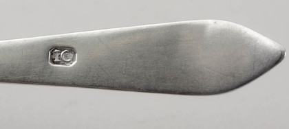 Cape Silver Lemoen Lepel - Johannes Combrink